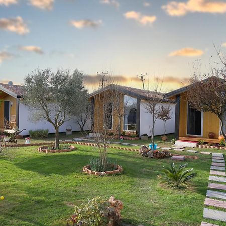 Hotel Villa Linda شكودر المظهر الخارجي الصورة
