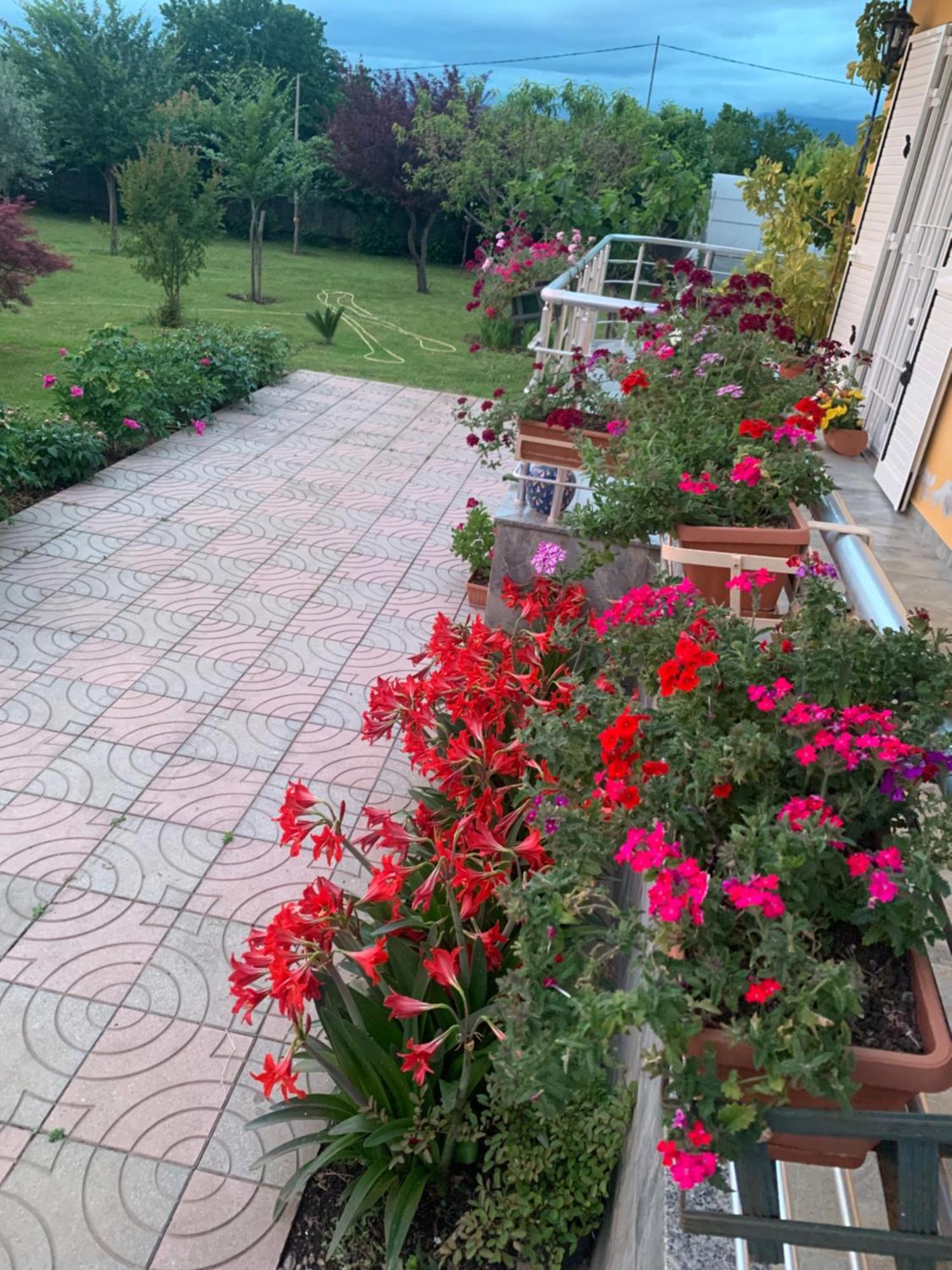 Hotel Villa Linda شكودر المظهر الخارجي الصورة